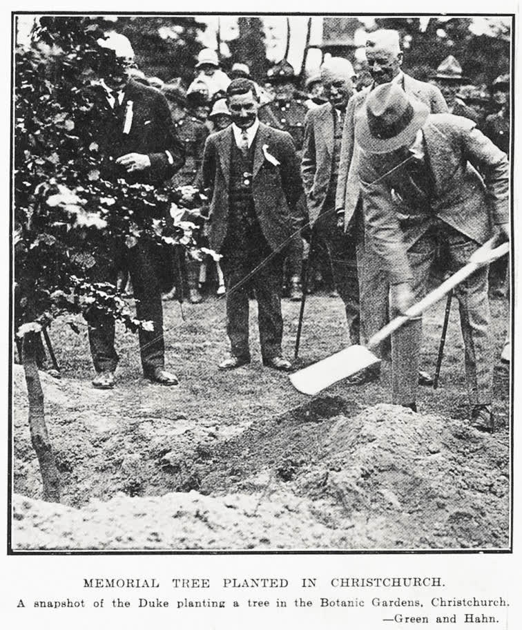 Memorial Tree Planted In Christchurch, 1927