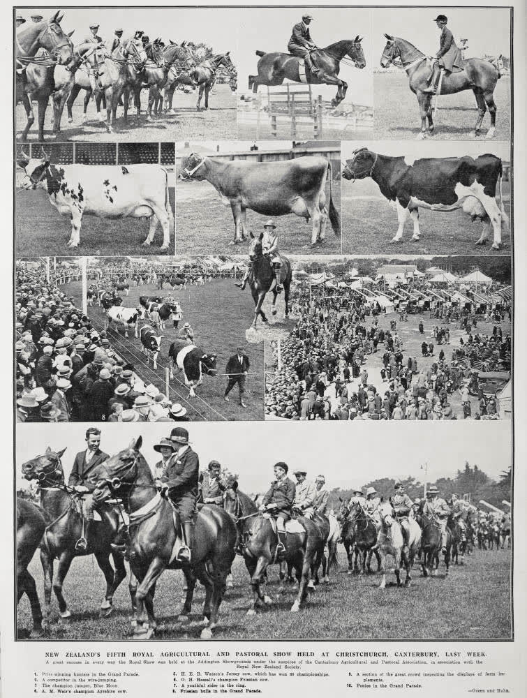New Zealand's Fifth Royal Agricultural And Pastoral Show Held At Christchurch, Canterbury, Last Week, 1927