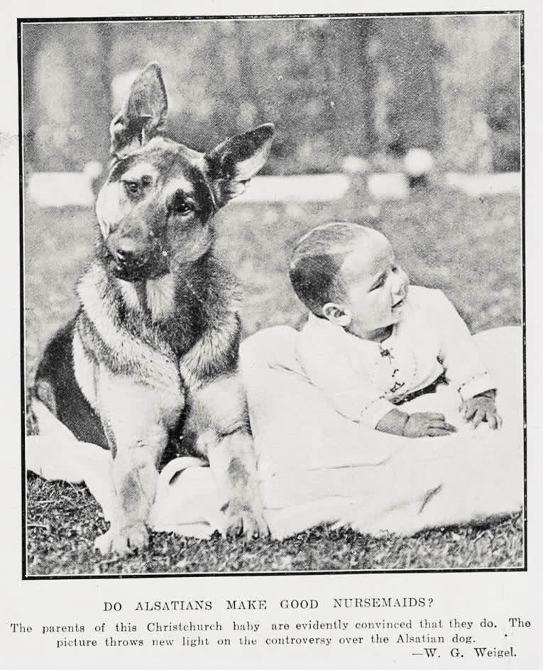 Do Alsatians make good nursemaids?, 1929