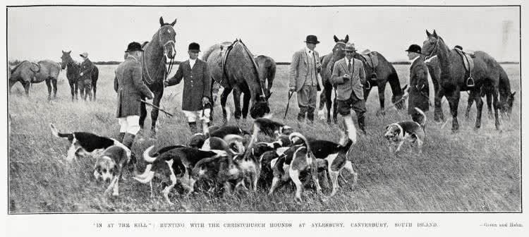 In at the kill': hunting with Christchurch hounds at Aylesbury, South Island, 1929