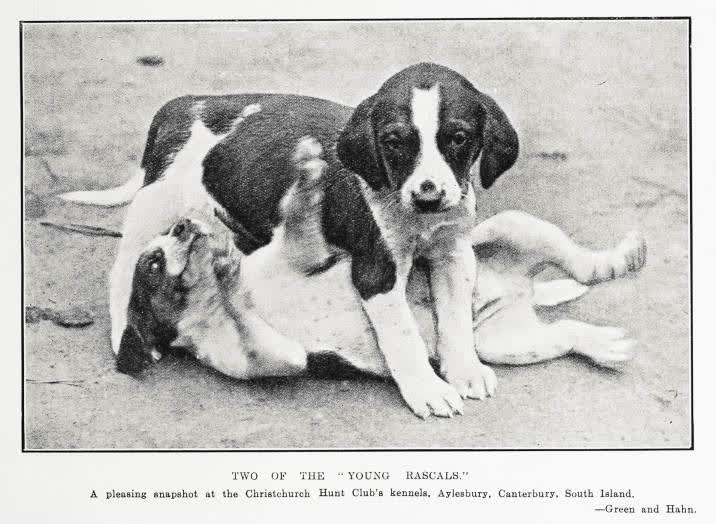Two of the 'young rascals.', 1929