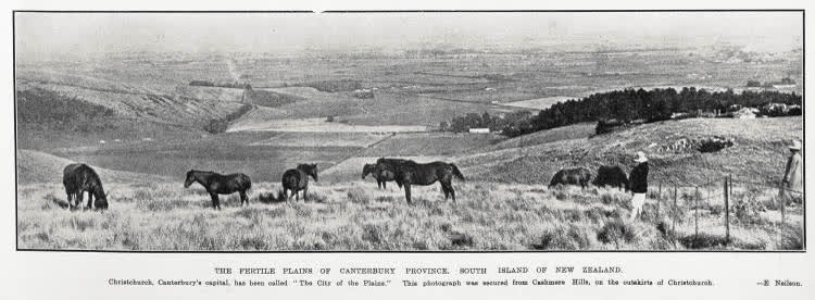 The fertile plains of Canterbury Province, South Island of New Zealand, 1929