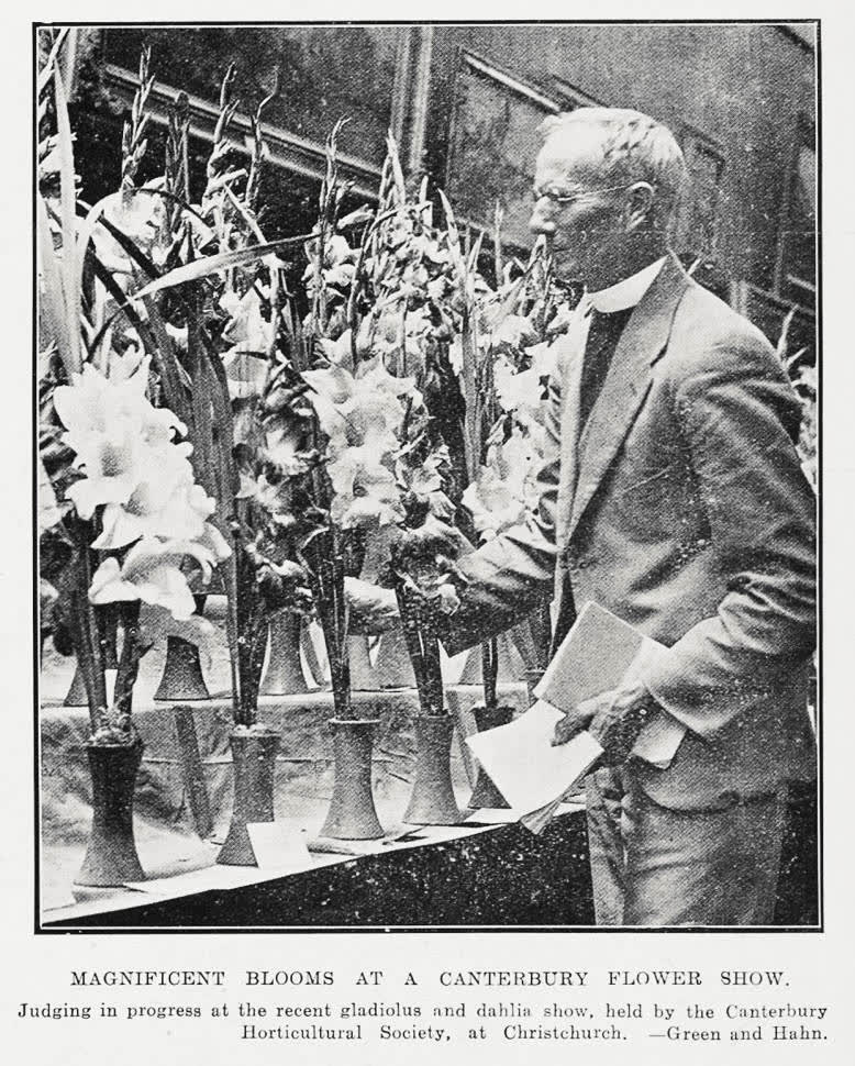 Magnificent blooms at a Canterbury flower show, 1930