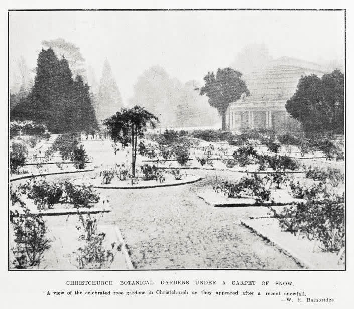 Christchurch Botanical Gardens under a carpet of snow, 1930