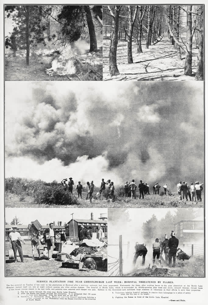 Serious plantation fire near Christchurch last week: hospital threatened by flames, 1931