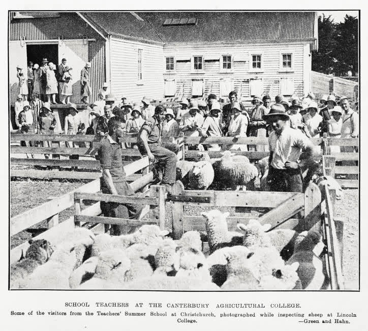 School teachers at the Canterbury Agricultural college, 1931