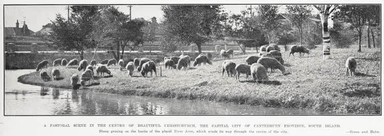 A pastoral scene in the centre of beautiful Christchurch, the capital city of Canterbury Province, South Island, 1931