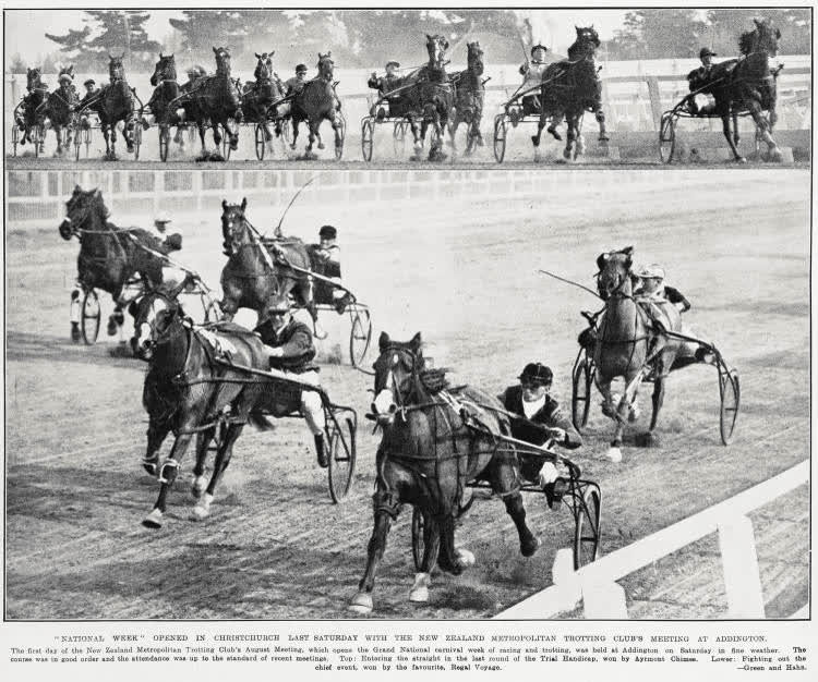 'National week' opened in Christchurch last Saturday with the New Zealand Metropolitan Trotting Club's meeting at Addington, 1931