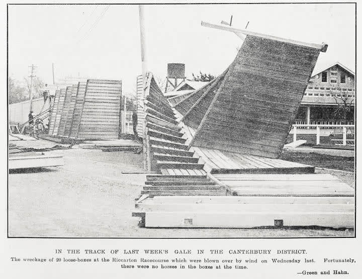In the track of last week's gale in the Canterbury District, 1931