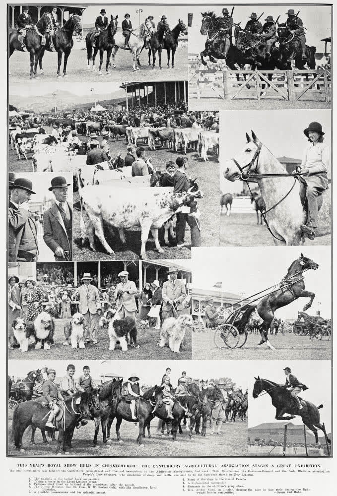 This Year's Royal Show Held In Christchurch: The Canterbury Agricultural Association Stages A Great Exhibition, 1931