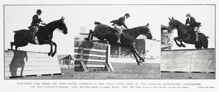 Well-Known Lady Riders And Their Mounts Competing at this Year's Royal Show at the Addington Showground, Christchurch, 1931