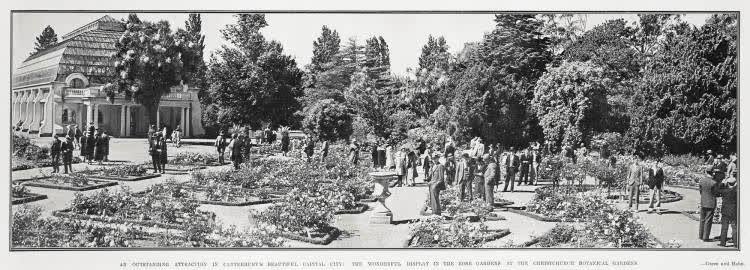 An Outstanding Attraction In Canterbury's Beautiful Capital City: The Wonderful Display in the Rose Gardens at the Christchurch Botanical Gardens, 1931