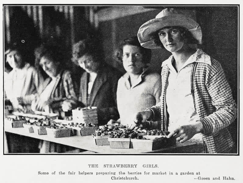 The Strawberry Girls, 1931