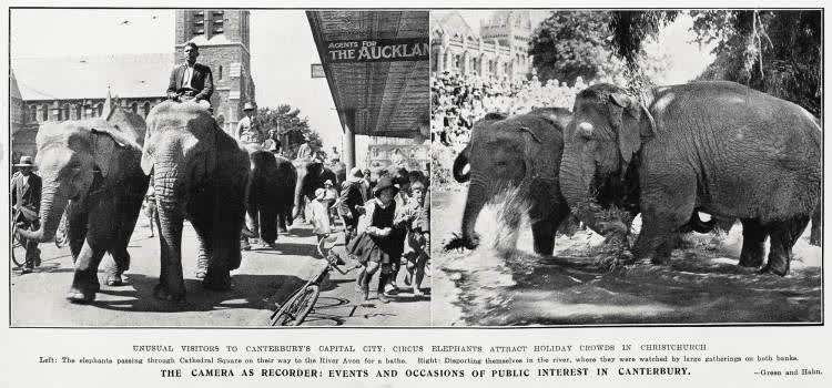 Unusual visitors to Canterbury's capital city: circus elephants attract holiday crowds in Christchurch, 1932