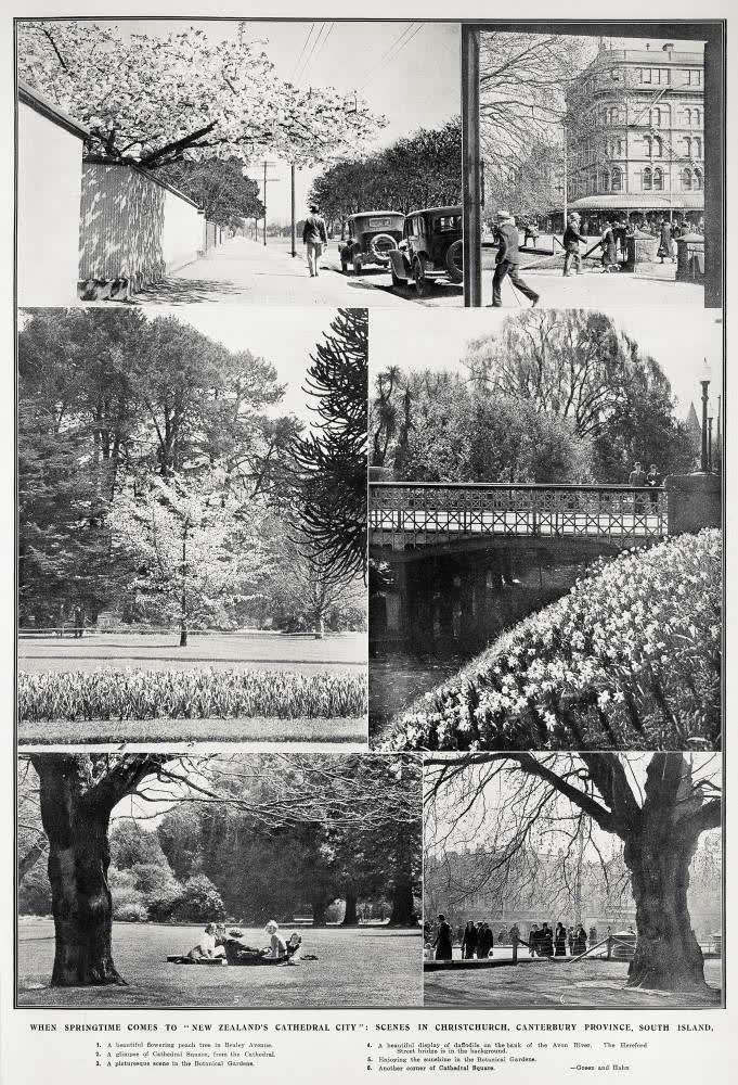 When springtime comes to 'New Zealand's Cathedral city': scenes in Christchurch, Canterbury Province. South Island, 1932
