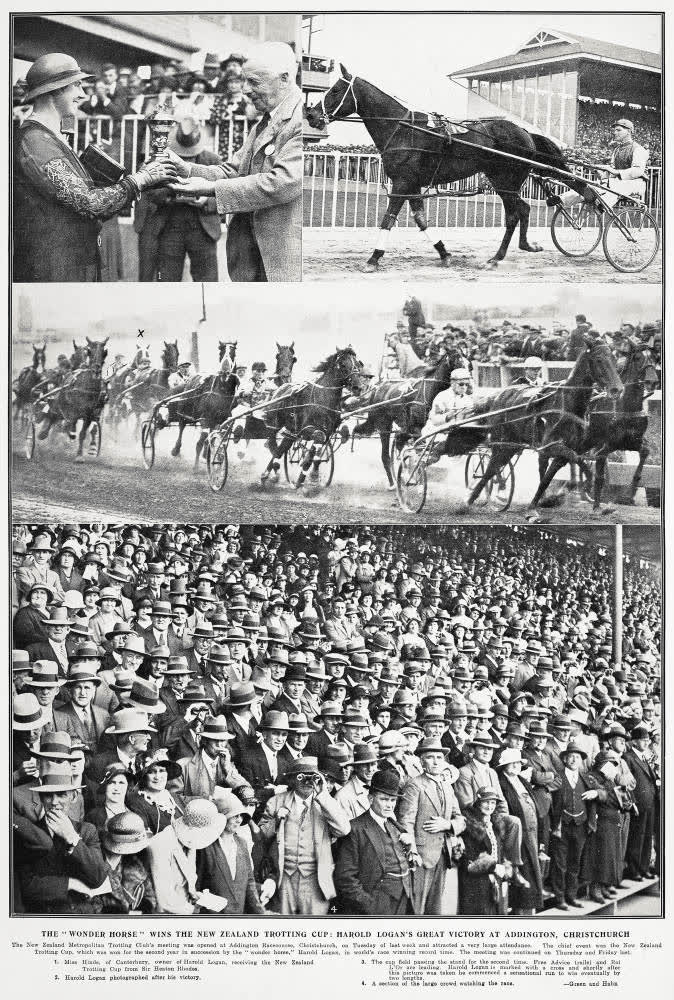 The 'wonder horse' wins the New Zealand trotting cup: Harold great victory at Addington, Christchurch, 1932