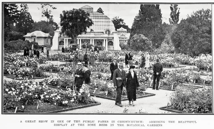 A great show in one of the public parks in Christchurch: admiring the beautiful display at the rose beds in the botanical gardens, 1932