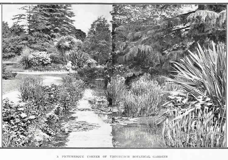 A picturesque corner of Christchurch botanical gardens, 1932