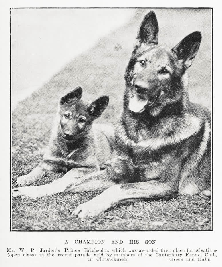 A champion and his son, 1933