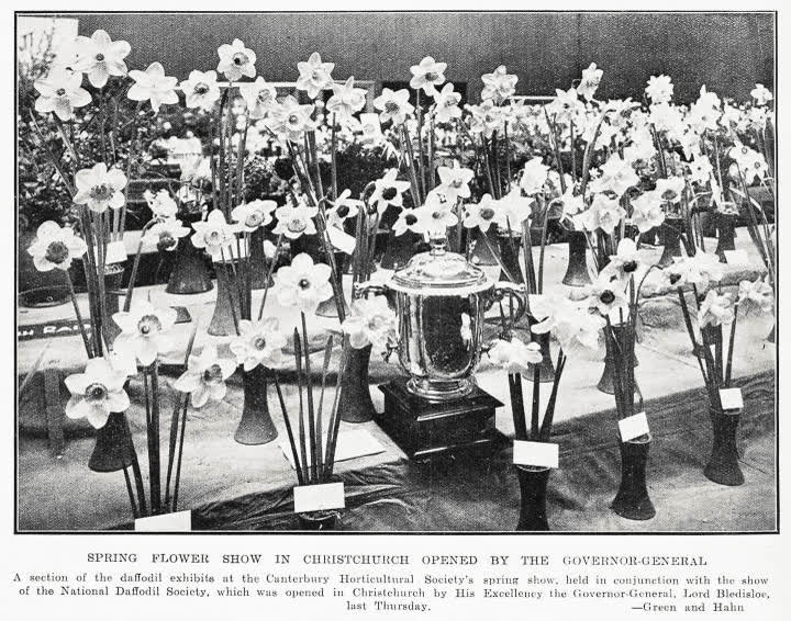 Spring flower show in Christchurch opened by the Governor General, 1933