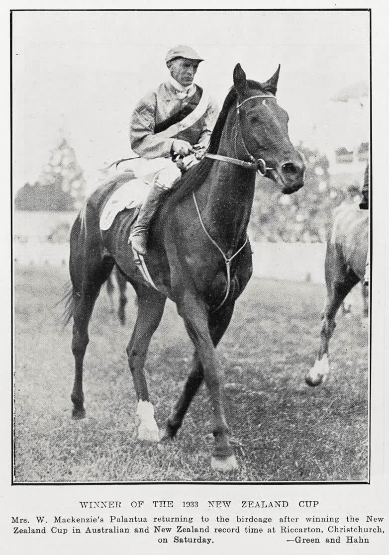 Winner of the 1933 New Zealand cup, 1933