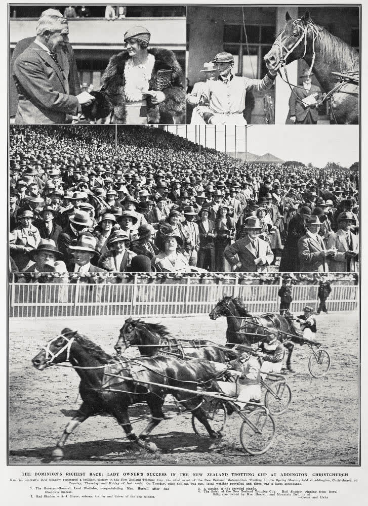 The Dominion's richest race: lady owner's success in the New Zealand trotting cup at Addington, Christchurch, 1933