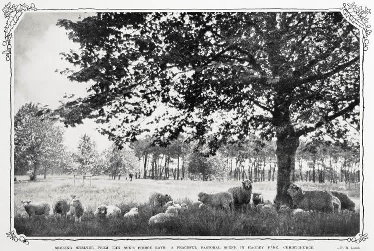 The return of the summer season in Canterbury province, South Island, 1933