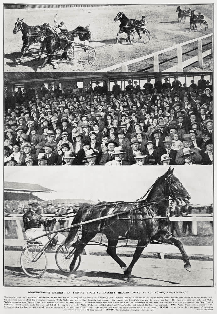 Dominion-wide interest in special trotting matches: record crowd at Addington, Christchurch, 1934
