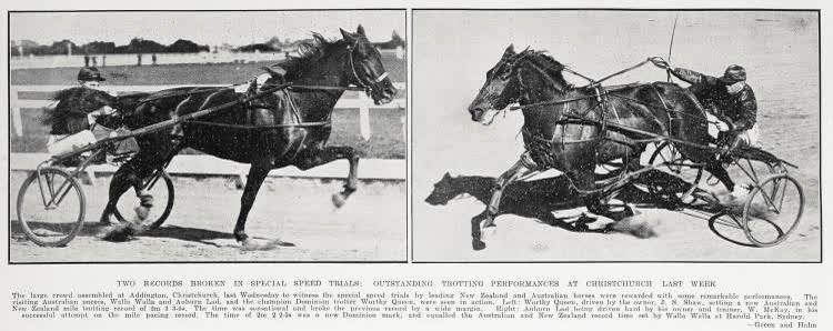 Two records broken in special speed trials: outstanding trotting performances at Christchurch last week, 1934