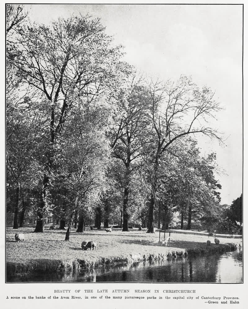 Beauty of the late autumn season in Christchurch, 1934