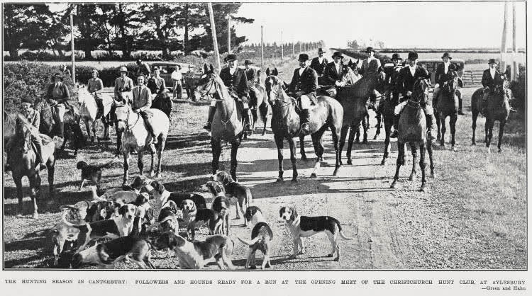 The hunting season in Canterbury: followers and hounds ready for a run at the opening meet of the Christchurch Hunt Club, at Aylesbury, 1934