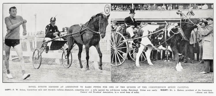 Novel events decided at Addington to raise funds for one of the queens at the Christchurch Queen Carnival, 1935