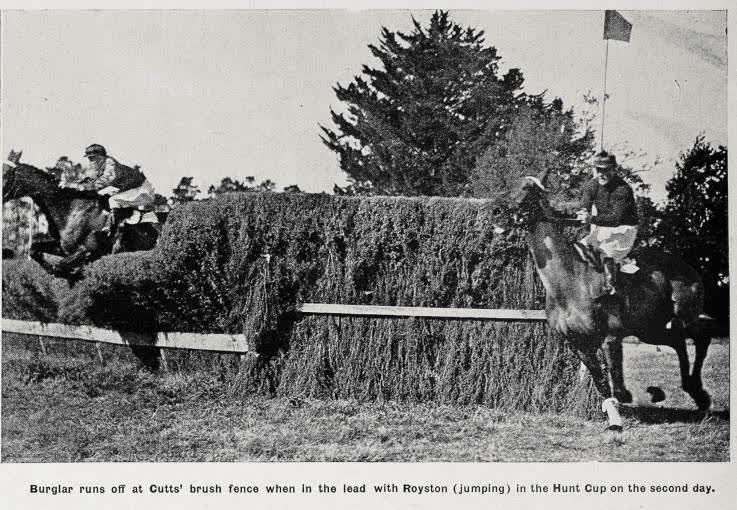 Burglar runs off at Cutts' brush fence when in the lead with Royston (jumping) in the Hunt Cup on the second day, 1936