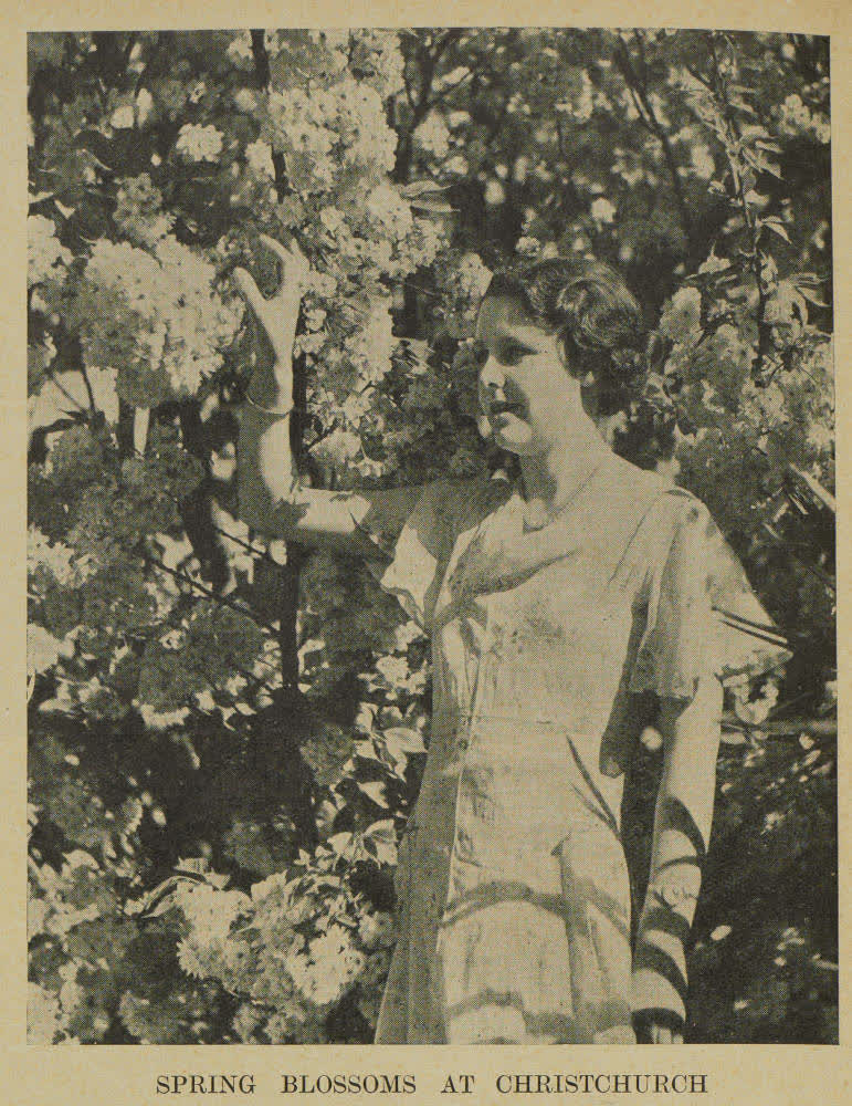 Spring blossoms at Christchurch, 1937