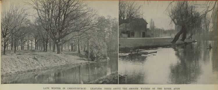 Late winter in Christchurch: leafless trees above the smooth waters of the River Avon, 1938