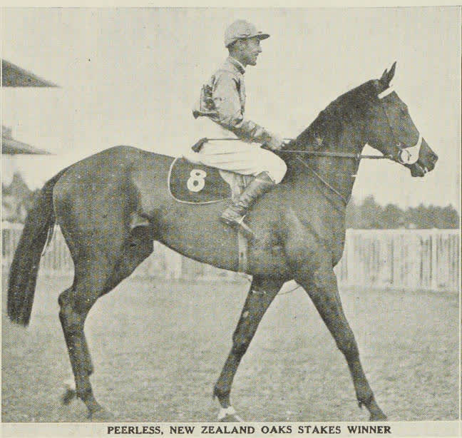 Peerless, New Zealand Oaks Stakes winner at Riccarton, 1938