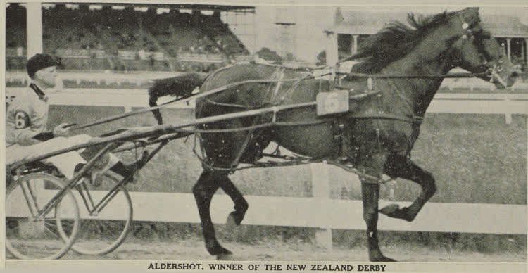 Aldershot, winner of the New Zealand Derby at Addington, 1938