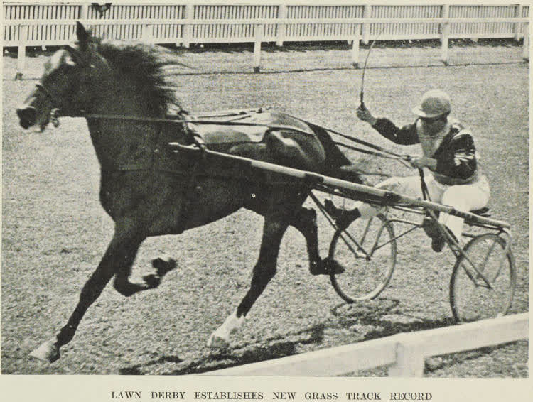 Lawn Derby established a grass track trotting record at New Brighton, Christchurch, 1938
