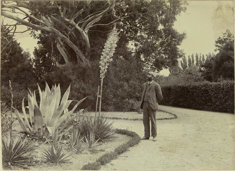 Photograph: Christchurch Gardens, 1894
