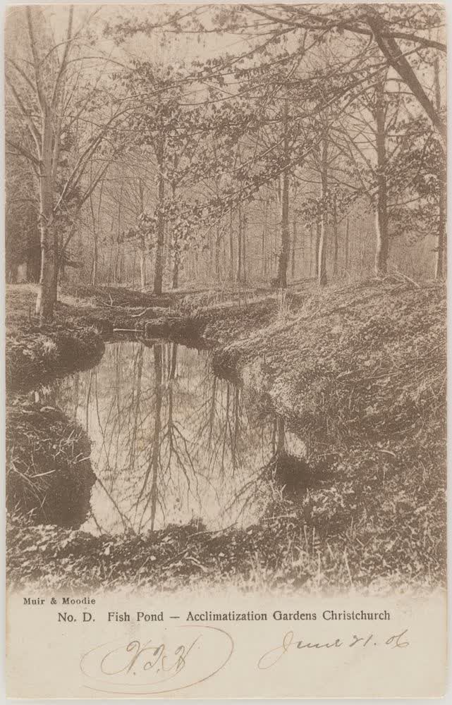 Fish Pond, Acclimatization Gardens, Christchurch, 1900