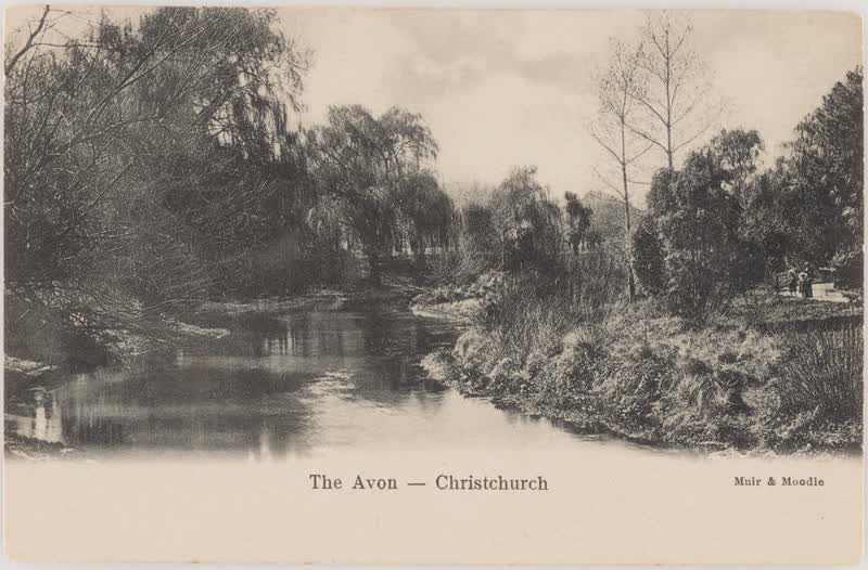 The Avon, Christchurch, 1900
