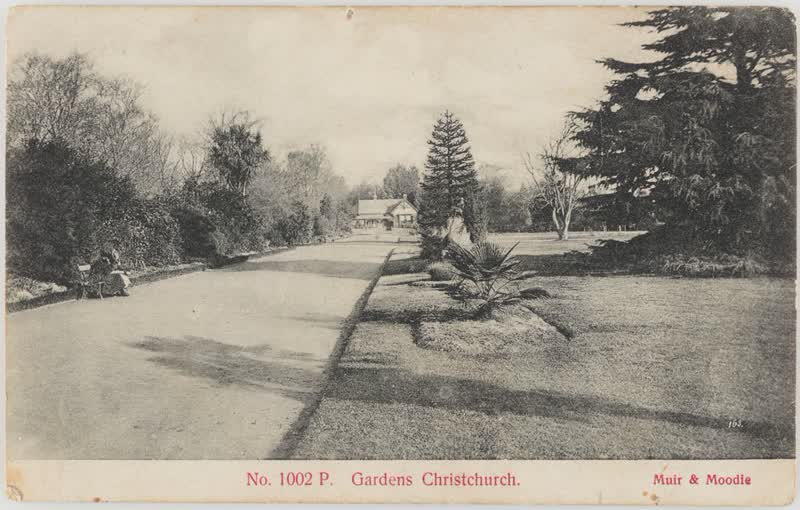 Gardens, Christchurch, 1905