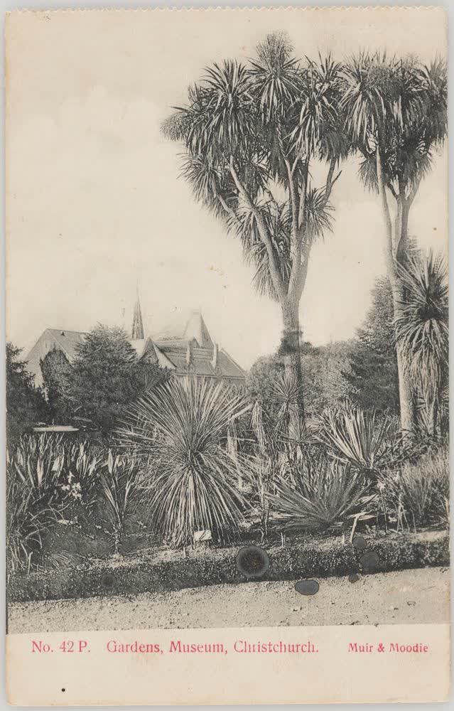 Gardens, Museum, Christchurch, 1905