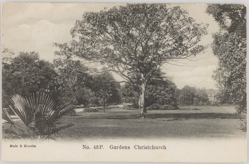 Gardens, Christchurch, 1905