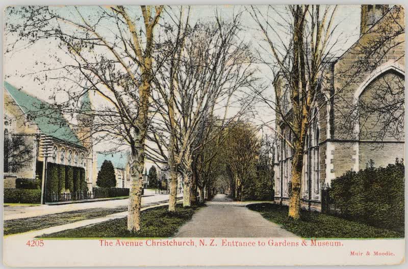 The Avenue, Christchurch, New Zealand - Entrance to Gardens and Museum, 1904