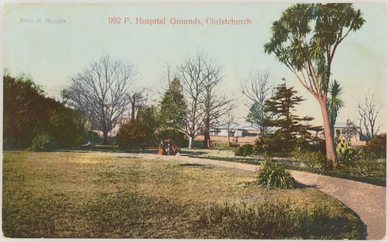 Hospital Grounds, Christchurch, 1905