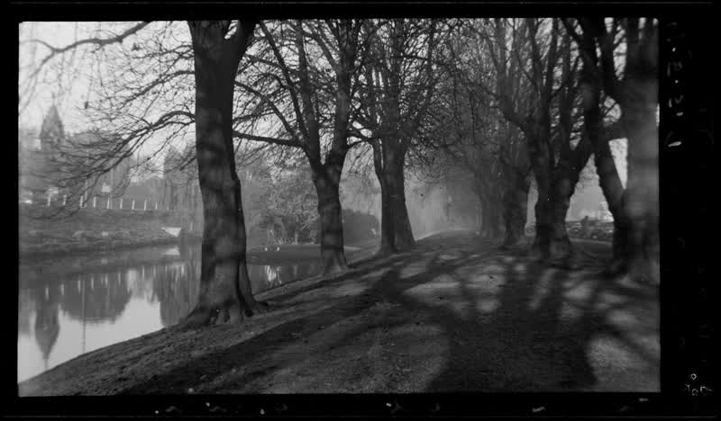 Avon under tree (early morning) from Cashel Street Bridge, Christchurch, 1951