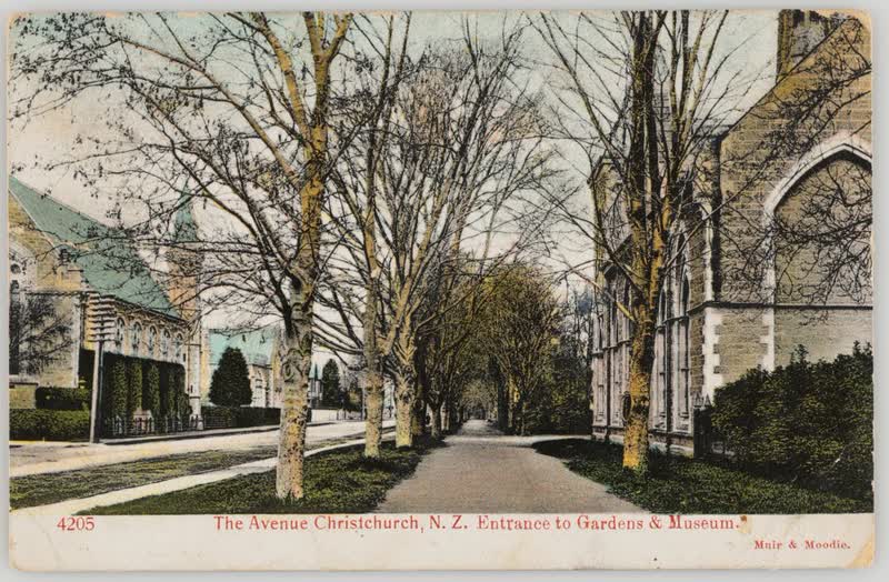The Avenue, Christchurch, New Zealand - Entrance to Gardens and Museum, 1904