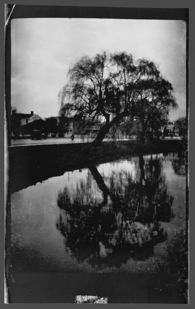 [Avon River, Christchurch], 1920