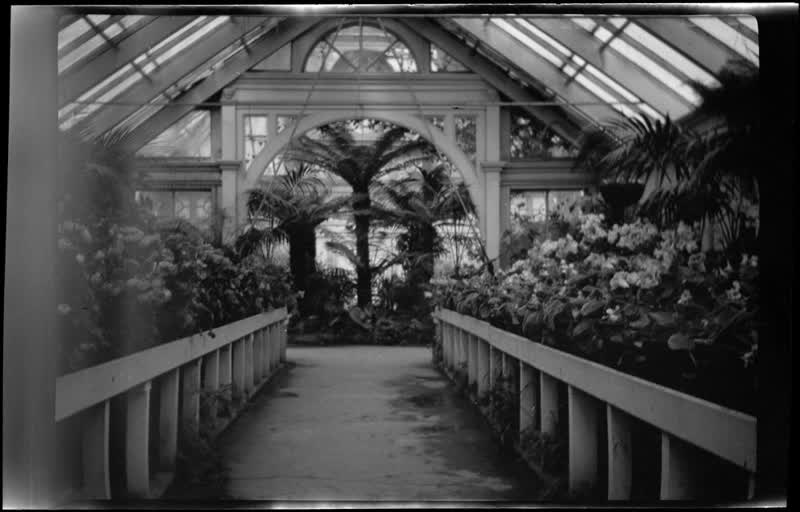 [Christchurch botanical garden], 1920